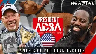 On parle Pit Bull avec le Pr&eacute;sident USA de ADBA f&eacute;d&eacute;ration HANK GREENWOOD