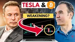Сюрприз на фондовом рынке Tesla после речи Пауэлла!