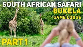 South Africa Safari! Bukela Game Lodge, Amakhala Game Reserve, South Africa 2020 Part 1