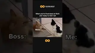 A humorous take on workplace frustration, featuring a cat representing the boss and another cat as a