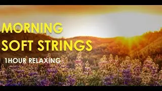 Morning Soft Strings 12 - Meditation | Relaxing | Zen | Positive | Yoga | Sleep