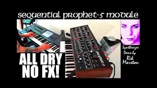 Sequential Prophet-5 Module All Dry No FX Analog Synthesizer Rik Marston