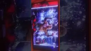 Degeneration X live band for Shawn Michaels WrestleMania 14 HD Full entrance