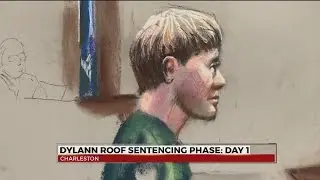 Dylann Roof represents himself during sentencing phase