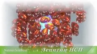 Самые Популярные продукты компании NSP