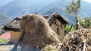 This is the original hilly village life of Nepal||amazing and hard traditional work.