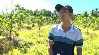 Bơm tưới b&eacute;c gi&aacute; rẻ Maro ống 90, 55 khối, tưới 1 lần 400 b&eacute;c | Thuận Hiệp Th&agrave;nh