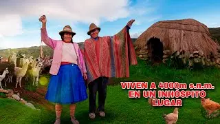 SOLOS a 4000m s n m  en lo más alto de los ANDES  Así Viven Don Grimaldo y Doña Fortunata