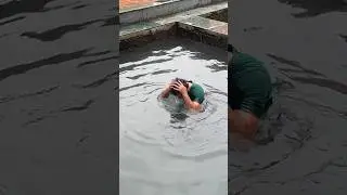 Hot Water Spring in Maharashtra | Vajreshwari Temple #vajreshwari #hotwaterspring #temple