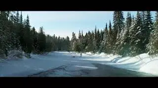 CRISIS OFFICIAL TRAILER (2021)