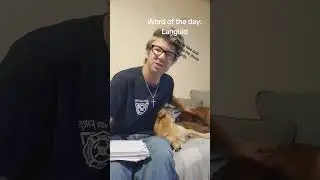 Word of the day with your dog.  0 #foryou #words #knowledge #information