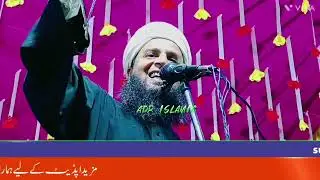 ना दौलत रहेगी ना पैसा रहेगा अकेले कब्र में रहना पड़ेगा ||Mulana Sohrab shahab Kolkattawi का बयान