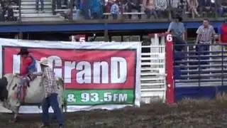 Pollo de palpan vs pitufo