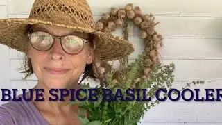 How to Make a Refreshing Blue Spice Basil Tea