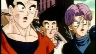 Racist Gohan