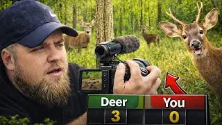 THE DEER WIN AGAIN / we got something else.