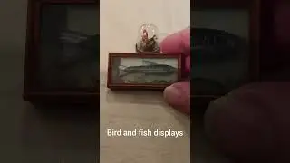 You can get anything for a dolls house! What do you make of these miniatures?