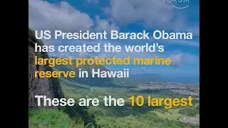 US President Barack Obama has created the world&rsquo;s largest protected marine reserve in Hawaii   These