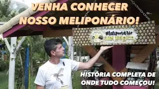 História completa do nosso Meliponário. Onde tudo começou!