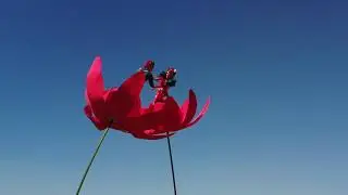 Sway Poles Flowers in Dubai, UAE, By White Rabbit DXB Entertainment