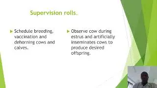 SUPERVISION IN DAIRY PRODUCTION