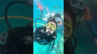 Drown your blues! | Praveg #explore #lakshadweep #travel #island