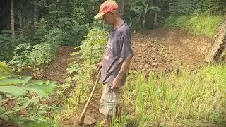 Hard Work: Hand-Hoeing Wet Soil in the Village _FarmersLife _Shorts