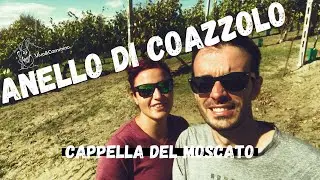 Anello di Coazzolo, Cappella del Moscato, Langhe Trekking