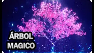 🌲 Árbol Mágico 🌲 Como Y Porque Plantar Sauco En El Huerto O Jardín || La Huertina De Toni