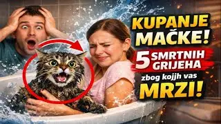 KUPANJE MAČKE: 5 SMRTNIH GRIJEHA zbog kojih vas MRZI! 🙀