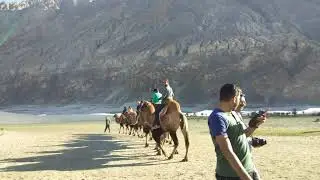 Camel ride in Hunder