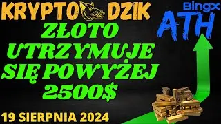 Dzika Analiza 19.08.2024 ZŁOTO TRZYMA ATH!  BTC/ETH/MATIC/ALICE/COTI/OP/ZŁOTO/JAP225/NASDAQ