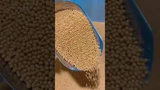 Large scale seed pellet machines help you get uniform seeds.#seed #veg #machine #agro #pellet
