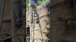 Primitive Shelter Build #shelterchallenge #primitive