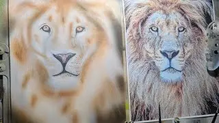 The lion is coming along just fine details?