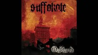 Suffokate - The Skies Were Filled With Fire
