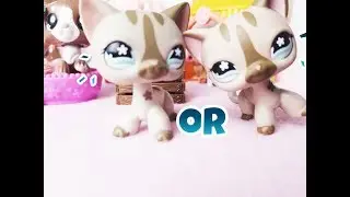 Littlest Pet Shop- Fake VS Real 468/792 || How To Tell!