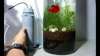 Hướng dẫn tự chế bộ lọc ngoài mini cho bể cá thủy sinh đơn giản tại nhà