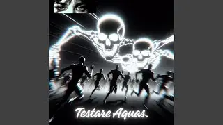 FLUXION&Eacute;