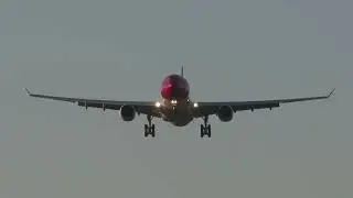 Can Planes Actually Land Themselves? The Truth About Autoland!