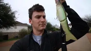 GIANT Swimbaits Catch BIG Bass!!