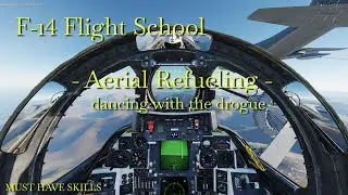 DCS | Learning the F-14 | Aerial Refueling, a must have skill