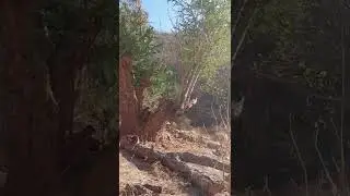 La Hacienda,  un pueblo del estado de Guerrero.