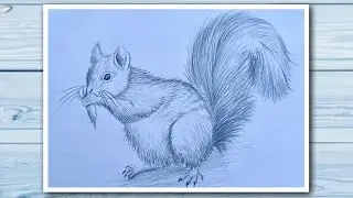 How to draw a squirrel step by step
