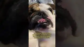 A CONTA N&Atilde;O FECHA