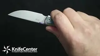Kizer Cutlery Ben Taubert Quoll Front Flipper Knife