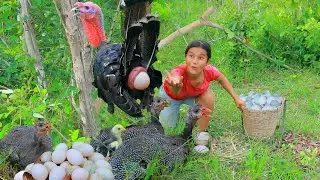 survival in the rainforest - Found Turkey Bird egg and snake - Cooking Turkey Eating delicious HD