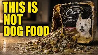 10 Dog Food Brands You NEED To Avoid (And 4 That Are Safe)