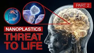 Nanoplastics. Threat to Life | ALLATRA Documentary. Part 2