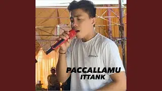 Paccallamu